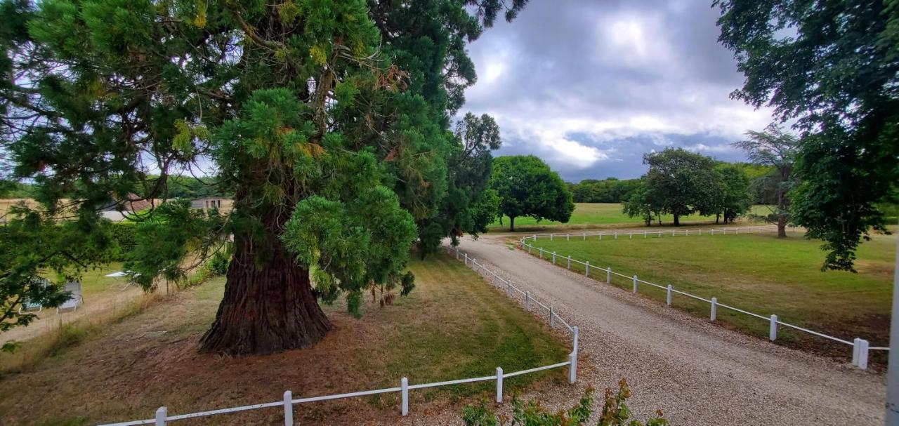 Le Sequoia Bed & Breakfast Velles  Luaran gambar